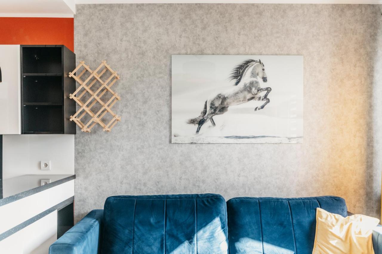 Nocosfera Apartament Stawiszynski Kaliszki Exteriér fotografie